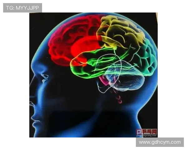 武汉乒乓球队防反战术解析与实战应用探讨