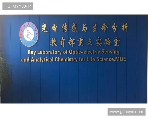 武汉飞盘队边路渗透战术分析与比赛表现评估