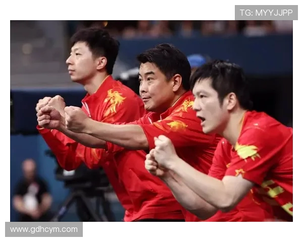 南京乒乓球队在奥运会上的团队协作表现值得称赞与反思